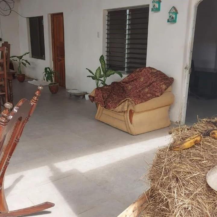 Hostal Brisas Del Ometepe Rivas Exterior foto